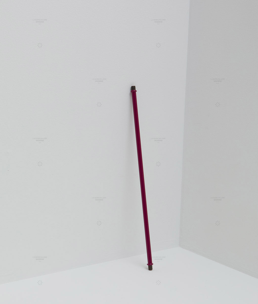 La Quincaillerie moderne - Tube lisse en métal prune, extrémités filetées,40cm