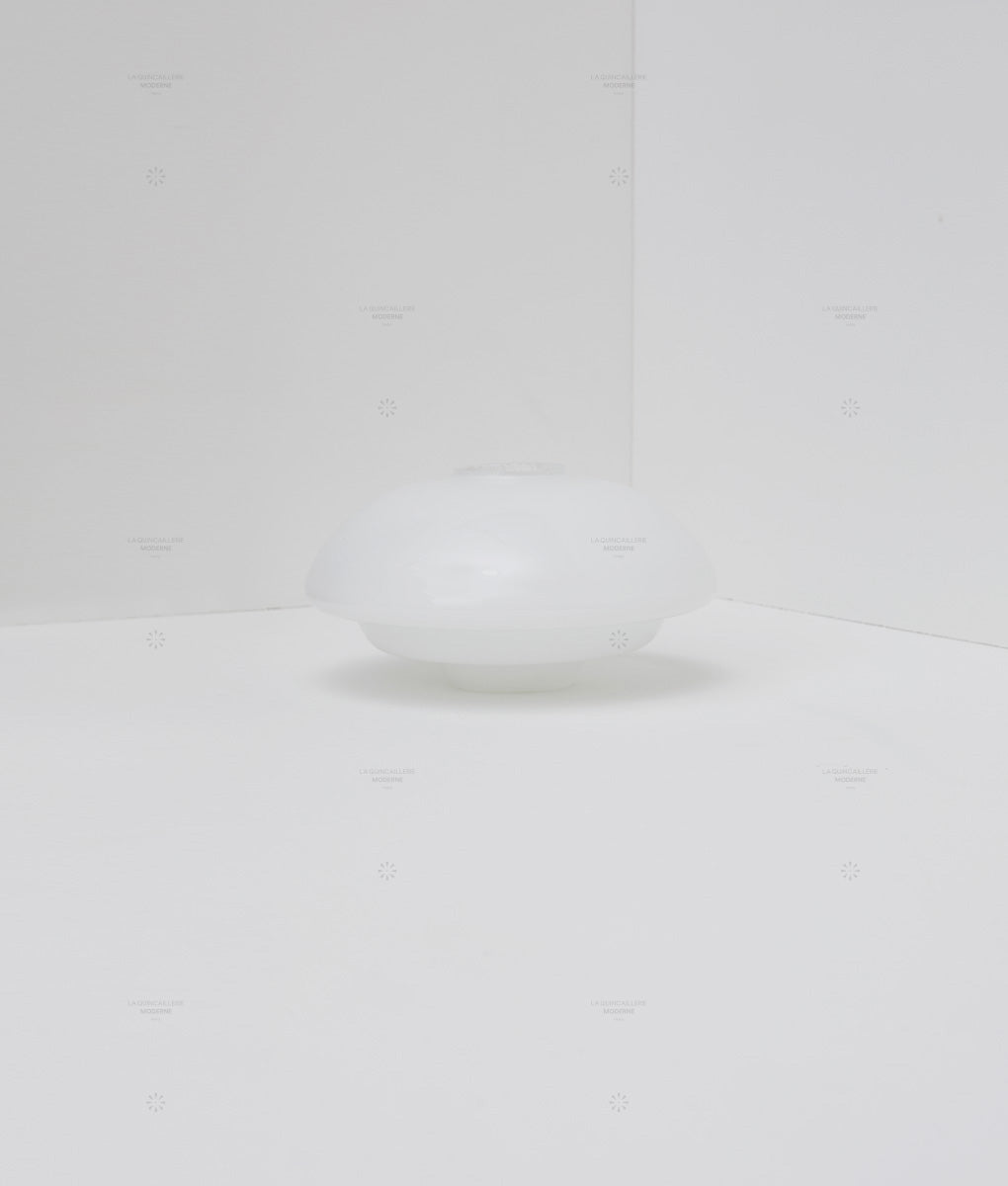 Verrerie artichaut à suspendre en opaline brillante